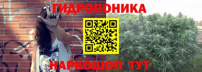 мдпв Можга