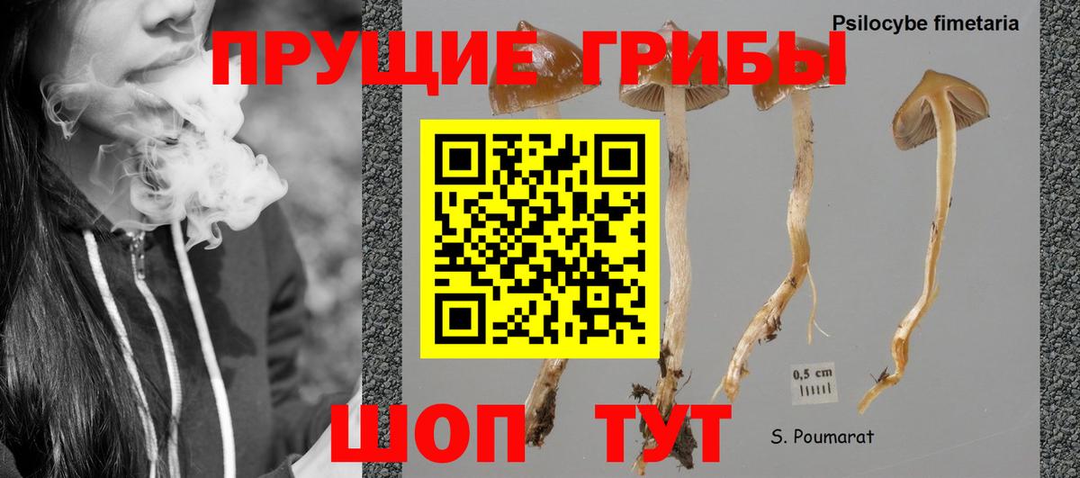Псилоцибиновые грибы мухоморы Губаха