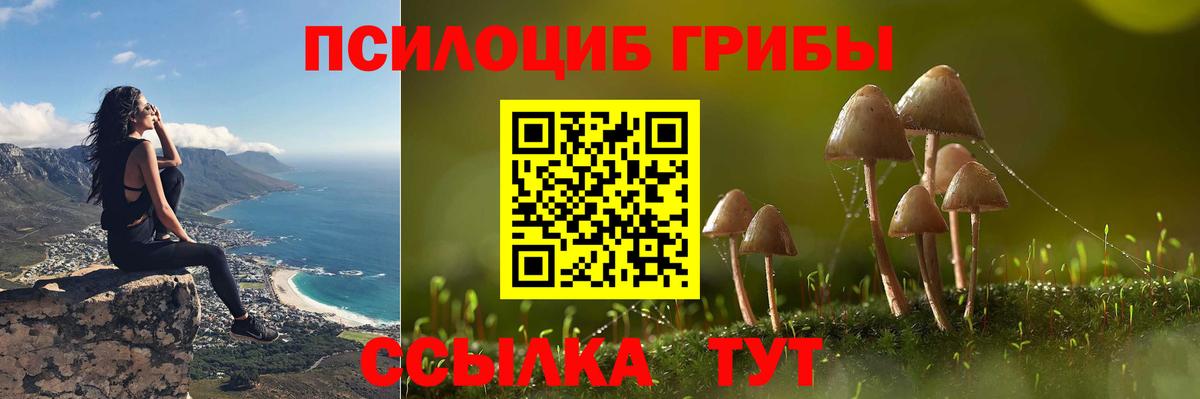Псилоцибиновые грибы Magic Shrooms  Губаха 